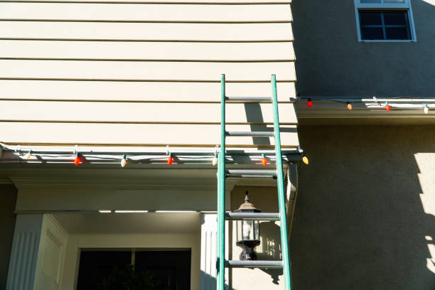 Best Carpet Removal and Disposal  in Dalton Gardens, ID