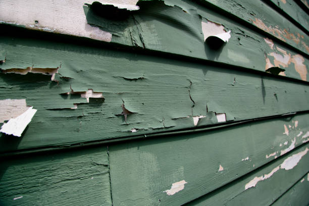 Best Garage Cleanout  in Dalton Gardens, ID